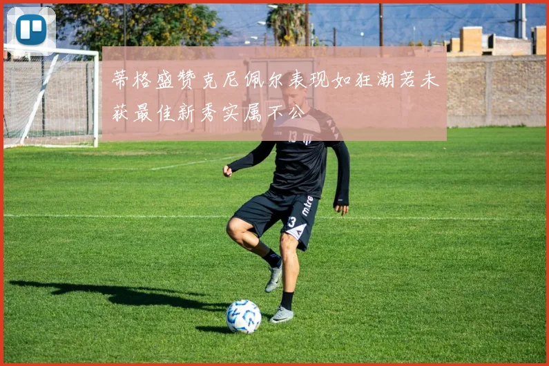 蒂格盛赞克尼佩尔表现如狂潮若未获最佳新秀实属不公